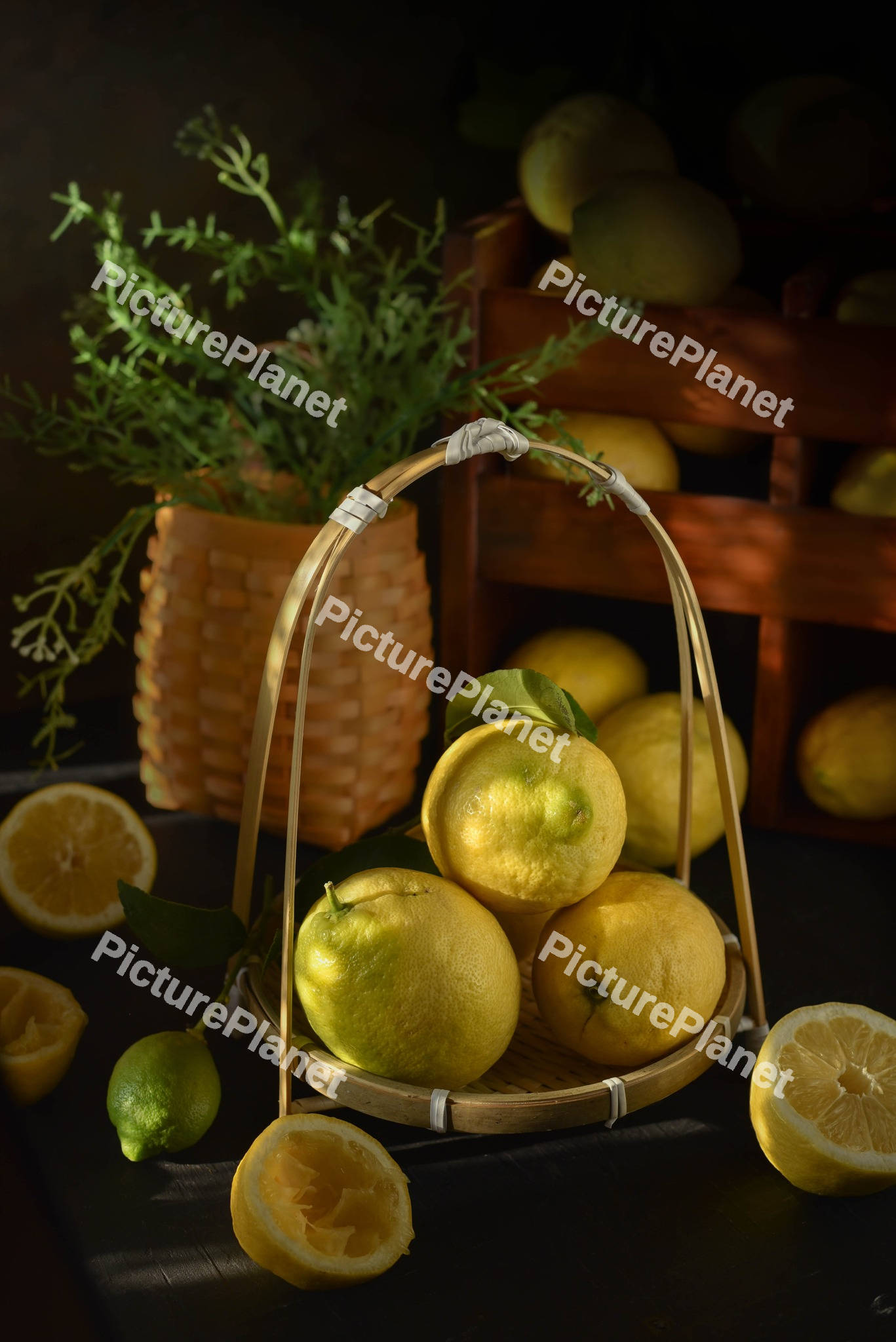 Lemons in a basket